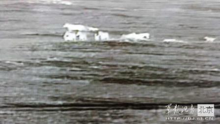 邊防軍出奇事:白天見珍稀動物晚上拍狼馬大戰(zhàn)